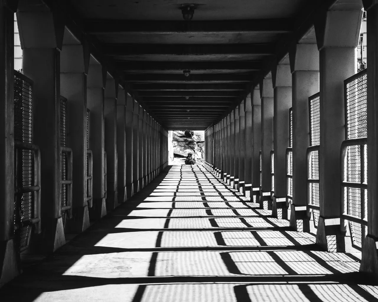 Aldeas ecológicas, tendencia en el mundo