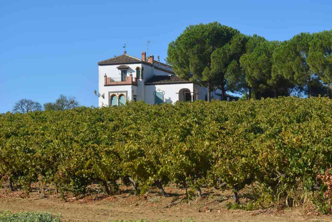 Enoturismo, Viñedos de Huelva