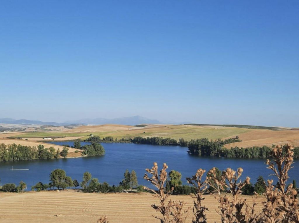 Turismo Rural. Bajo Guadalquivir Andalucía.