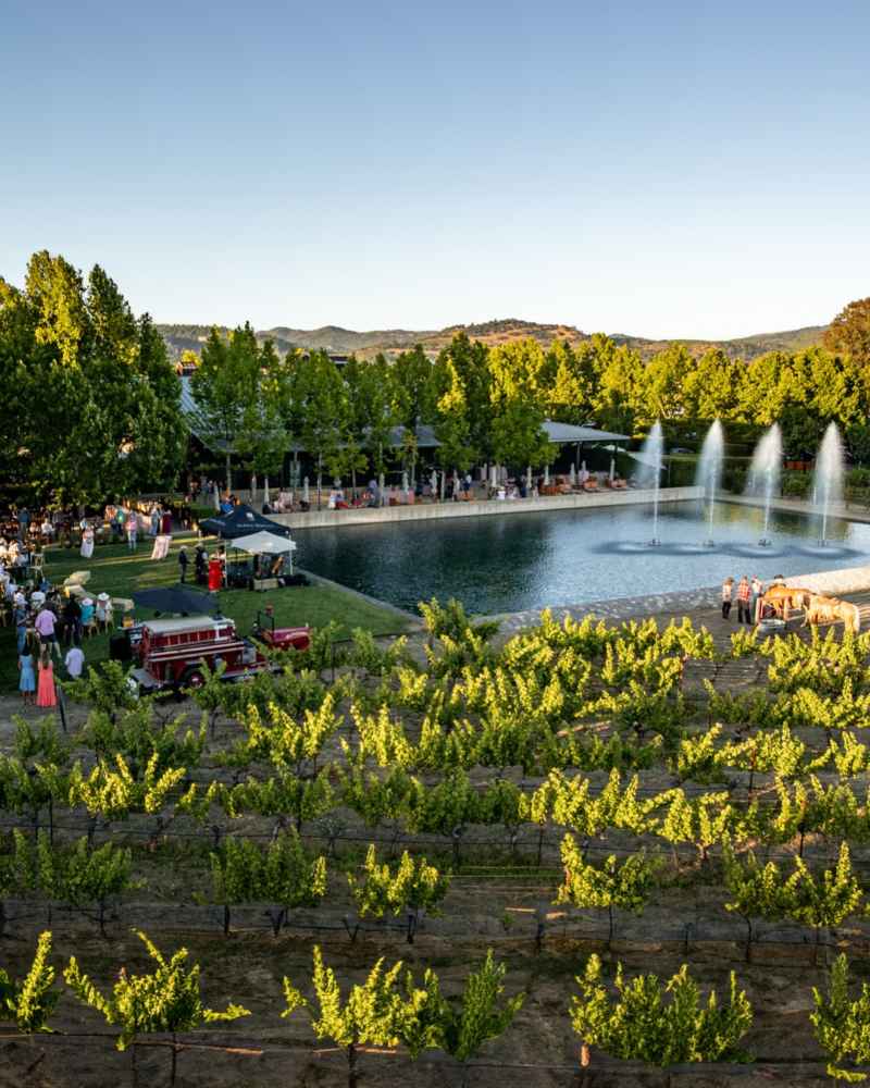 Alpha Omega Winery Gastronomía de Estados Unidos
