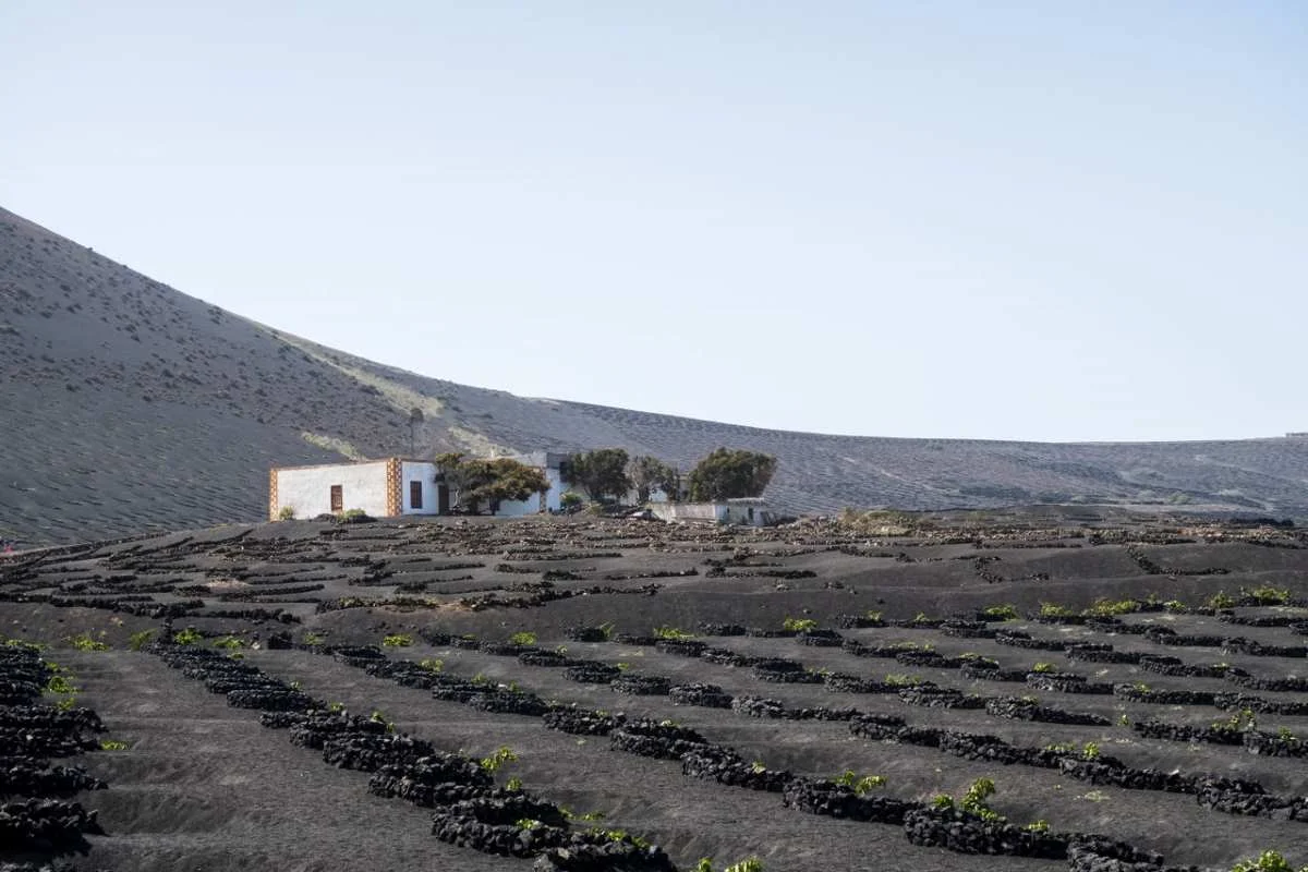 Tenerife Gastronomika