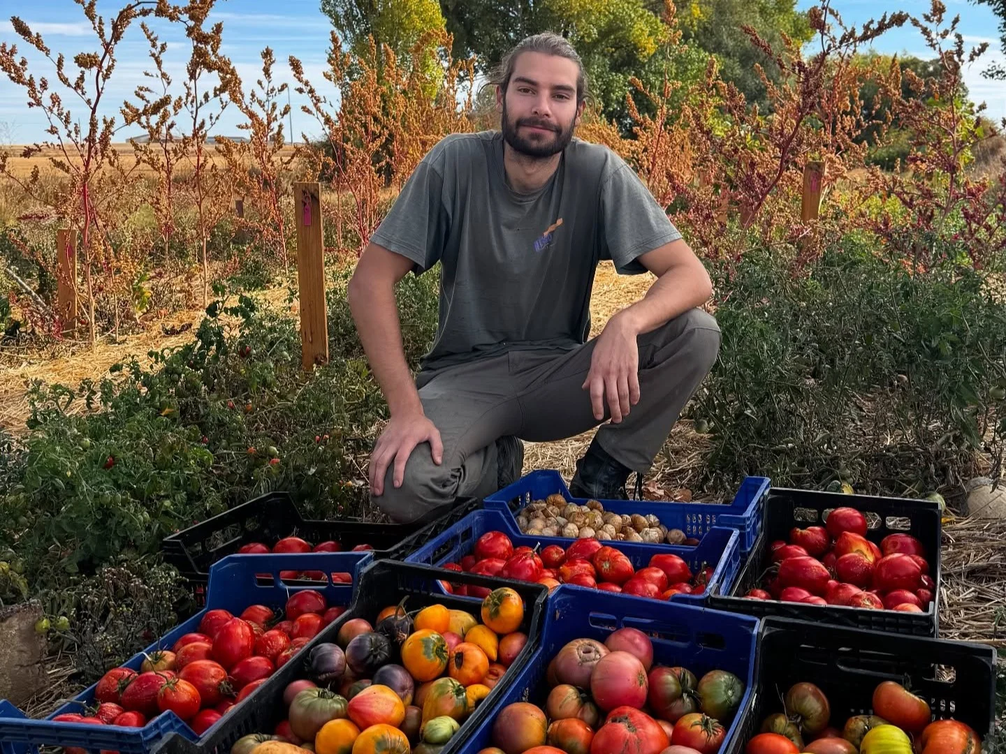 Emilio Medina y Sus Tomates, LaMielga