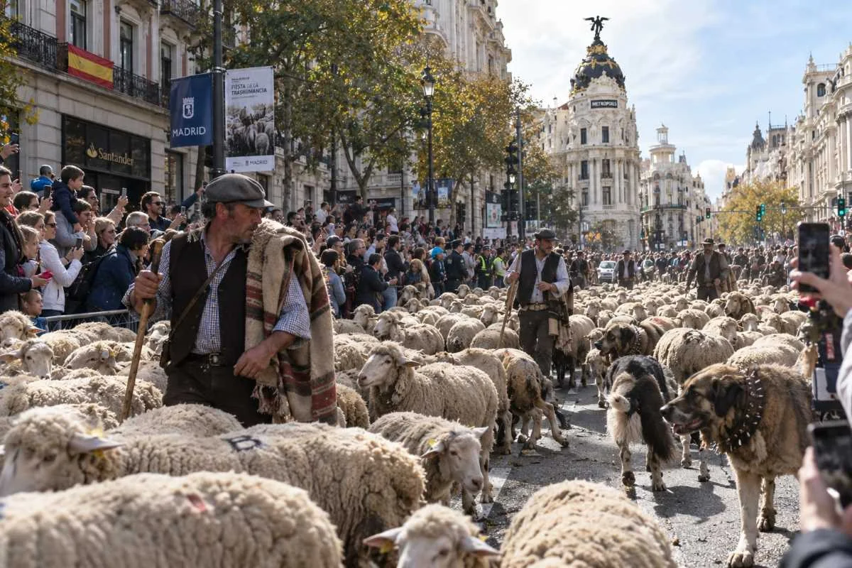 Trashumancia en Madrid. Imagen IA.
