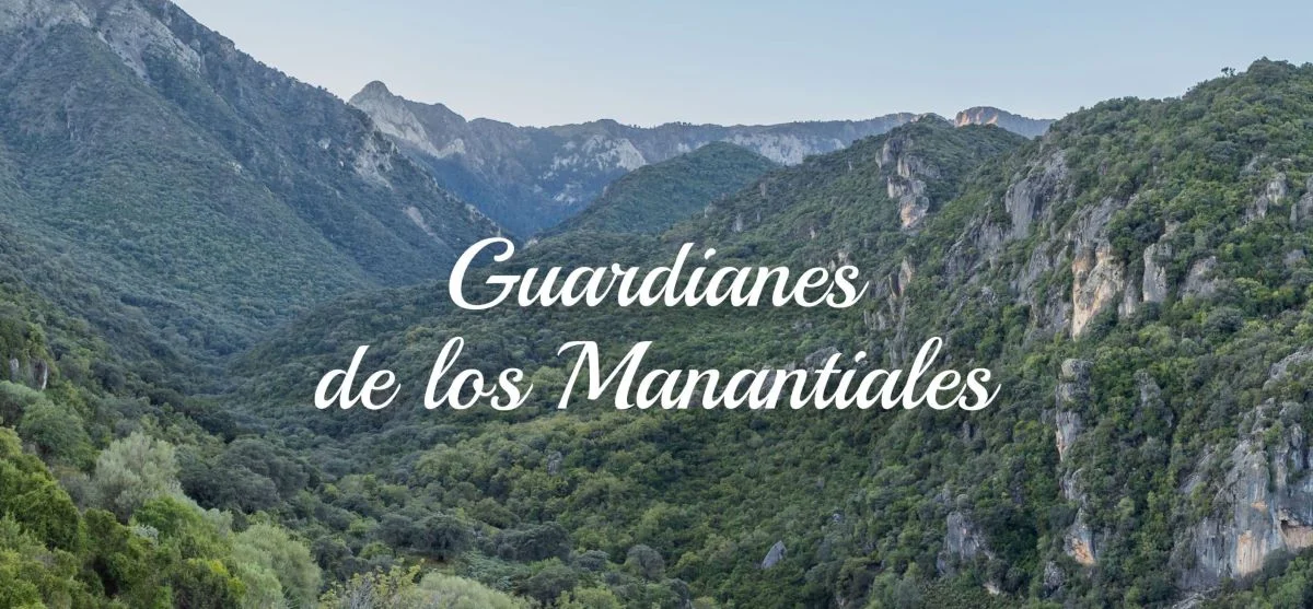 guardianes manantiales