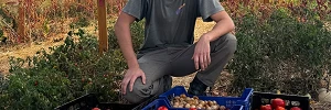 Emilio Medina y Sus Tomates, LaMielga
