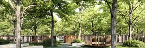 Cementerio A Romea Lalin Imagen LaDN30