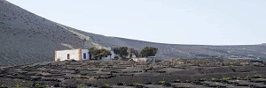 Tenerife Gastronomika