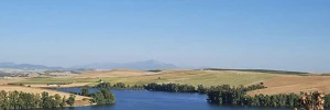 Turismo Rural. Bajo Guadalquivir Andalucía.