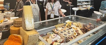 Expositor de Quesos en el Festival del Queso
