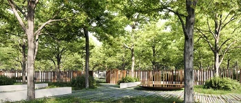 Cementerio A Romea Lalin Imagen LaDN30