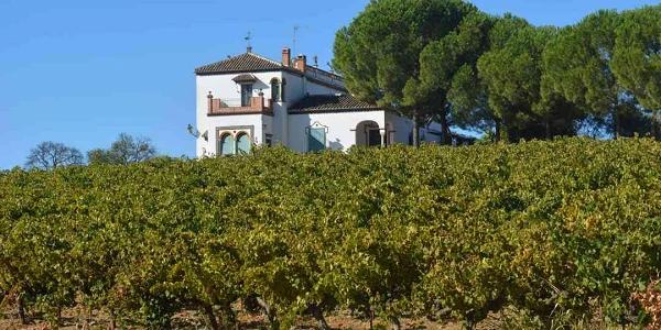 Enoturismo, Viñedos de Huelva