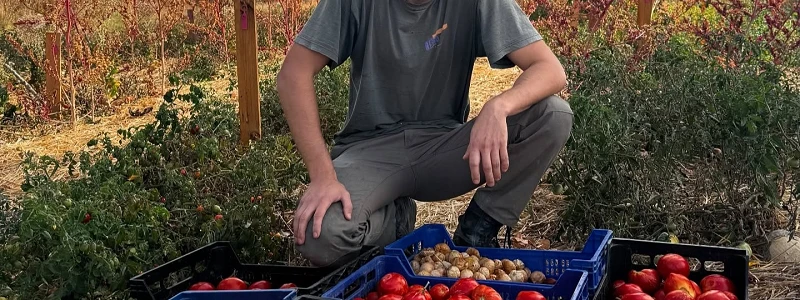 Emilio Medina y Sus Tomates, LaMielga