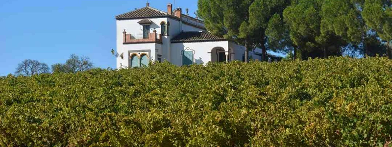 Enoturismo, Viñedos de Huelva