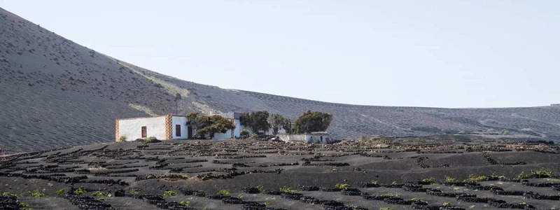 Tenerife Gastronomika