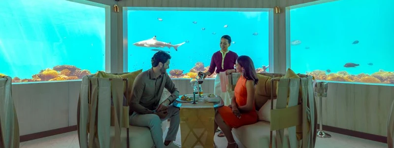 Ozen Life Maadhoo Experiencia Submarina